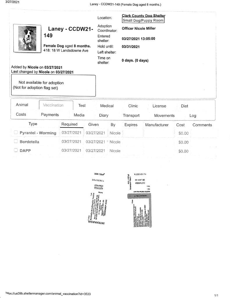 Enlarge Laney, a Adoptable Pit Bull Terrier in Springfield, OH image 6/6