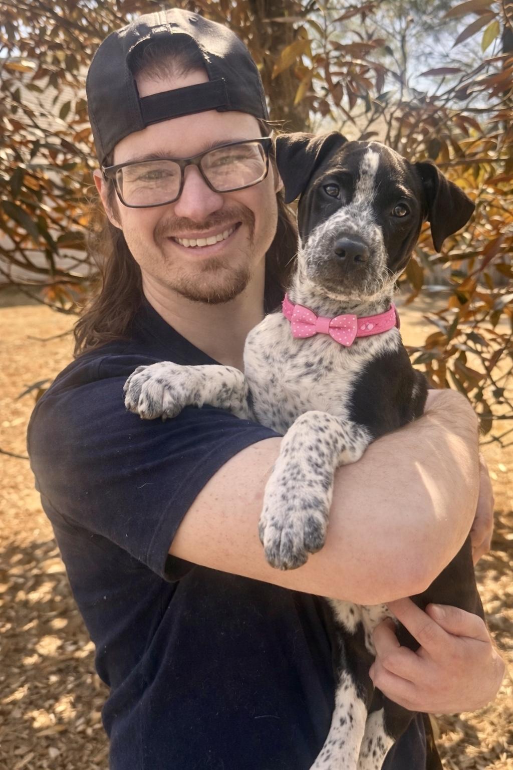 Enlarge Annie , a ADOPTABLE mixed breed in Alabaster, AL image 1/5