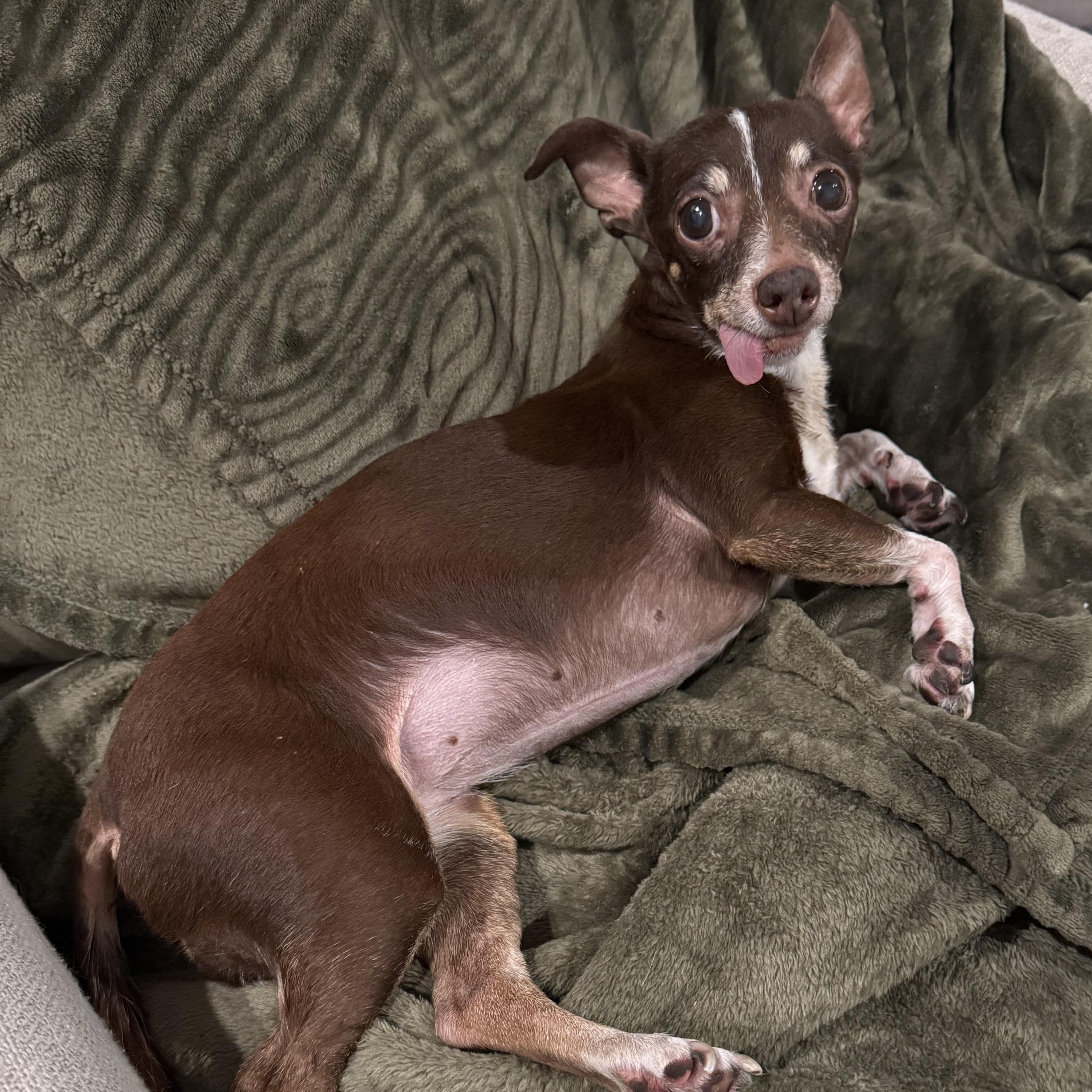 Ella Bella — thumbnail 2