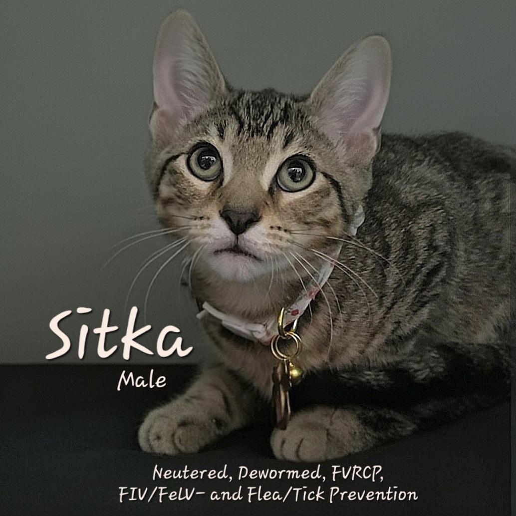 Sitka