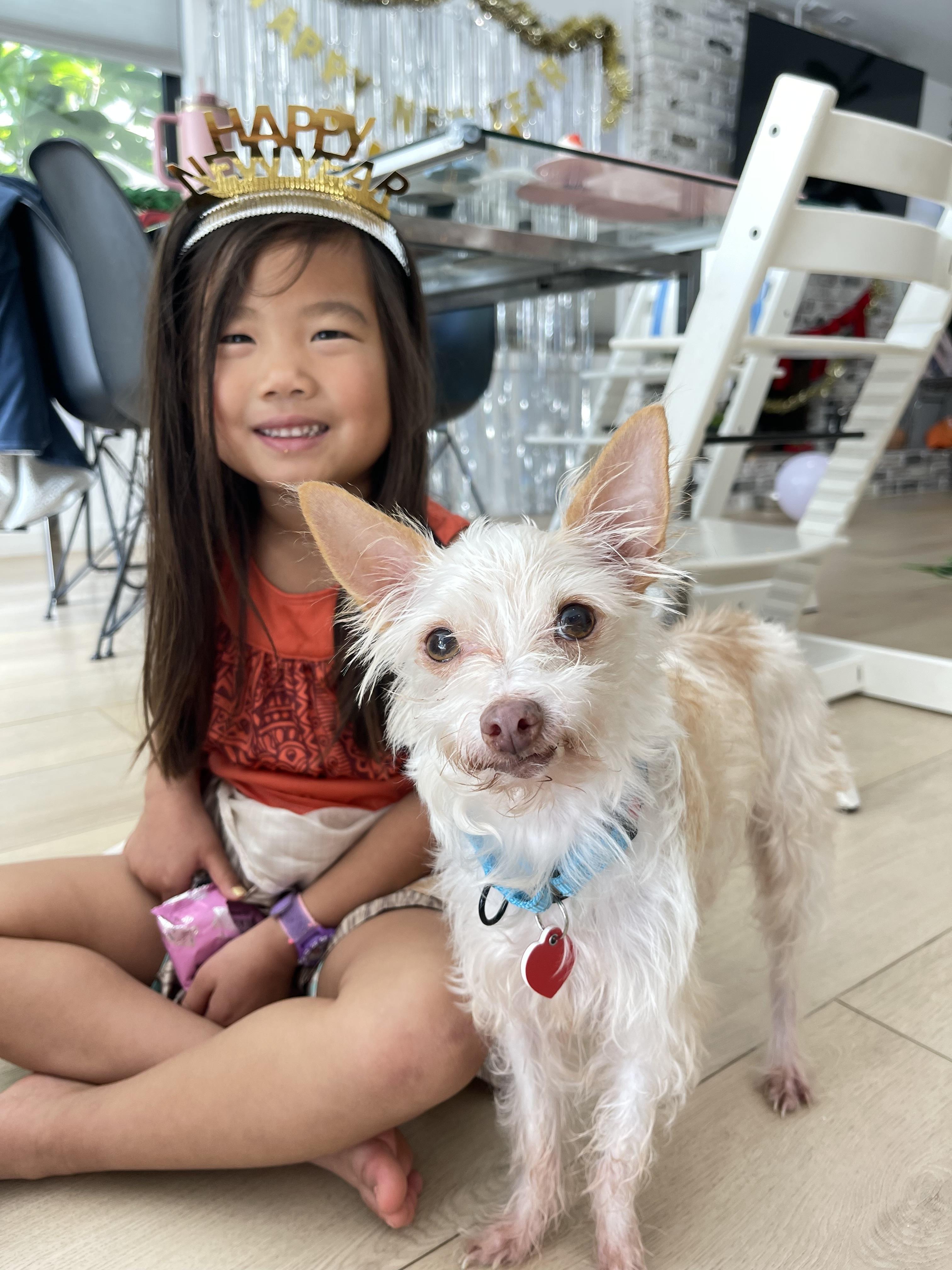 Mick Shrimpton loves everyone! , a ADOPTABLE mixed breed in Los Angeles, CA image 3/5