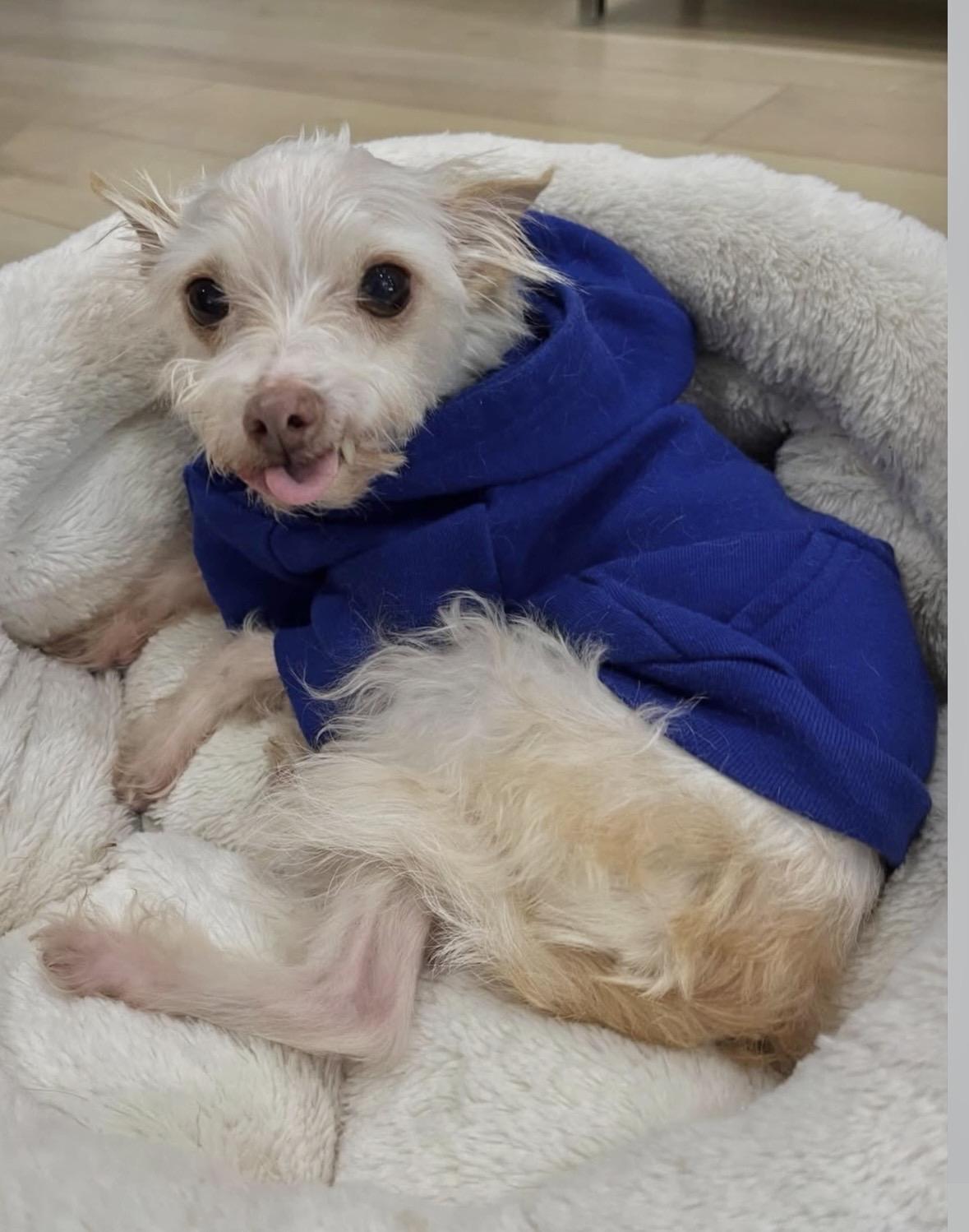 Mick Shrimpton Loves Everyone! thumbnail 3