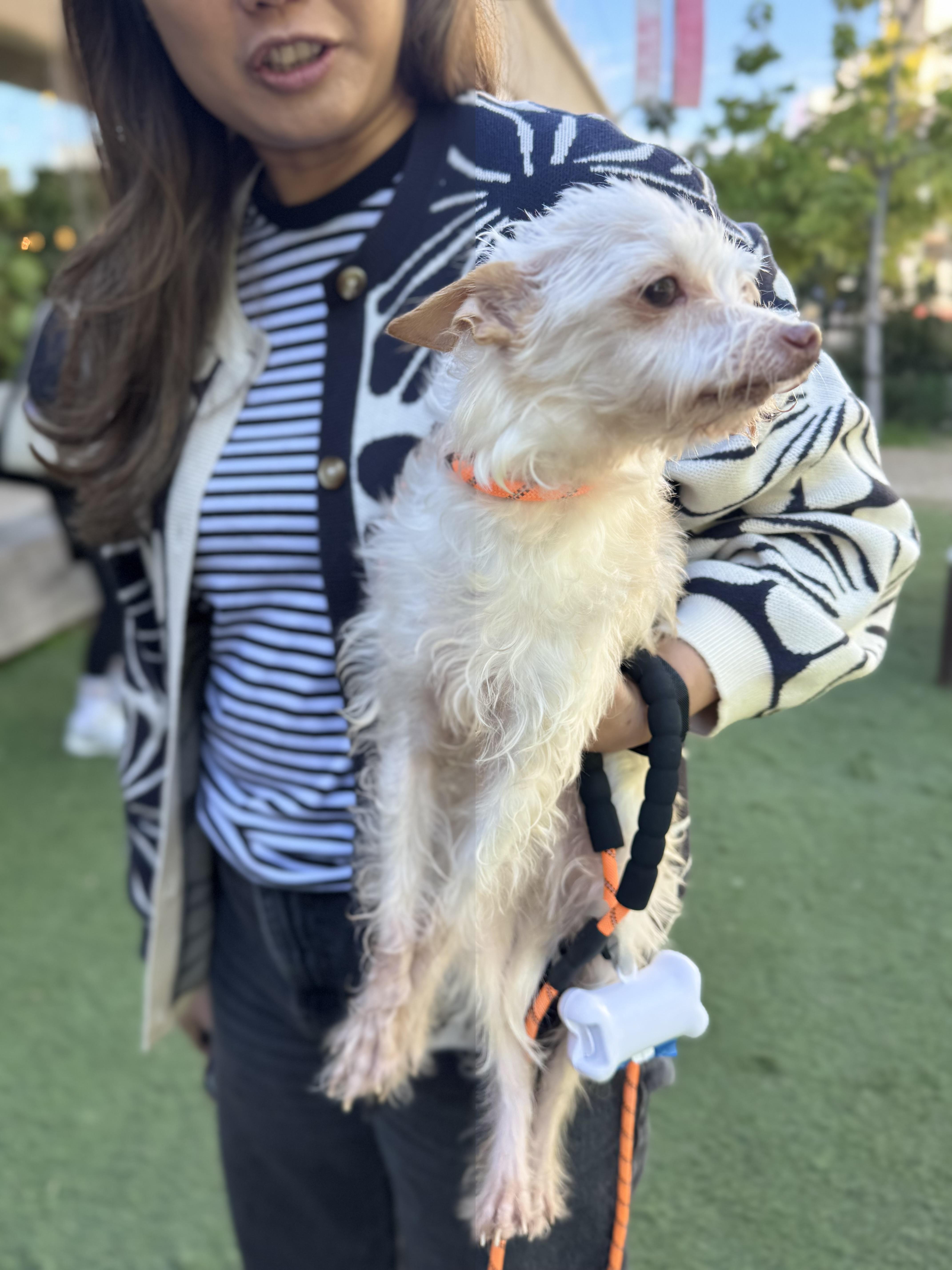 Mick Shrimpton Loves Everyone! thumbnail 4