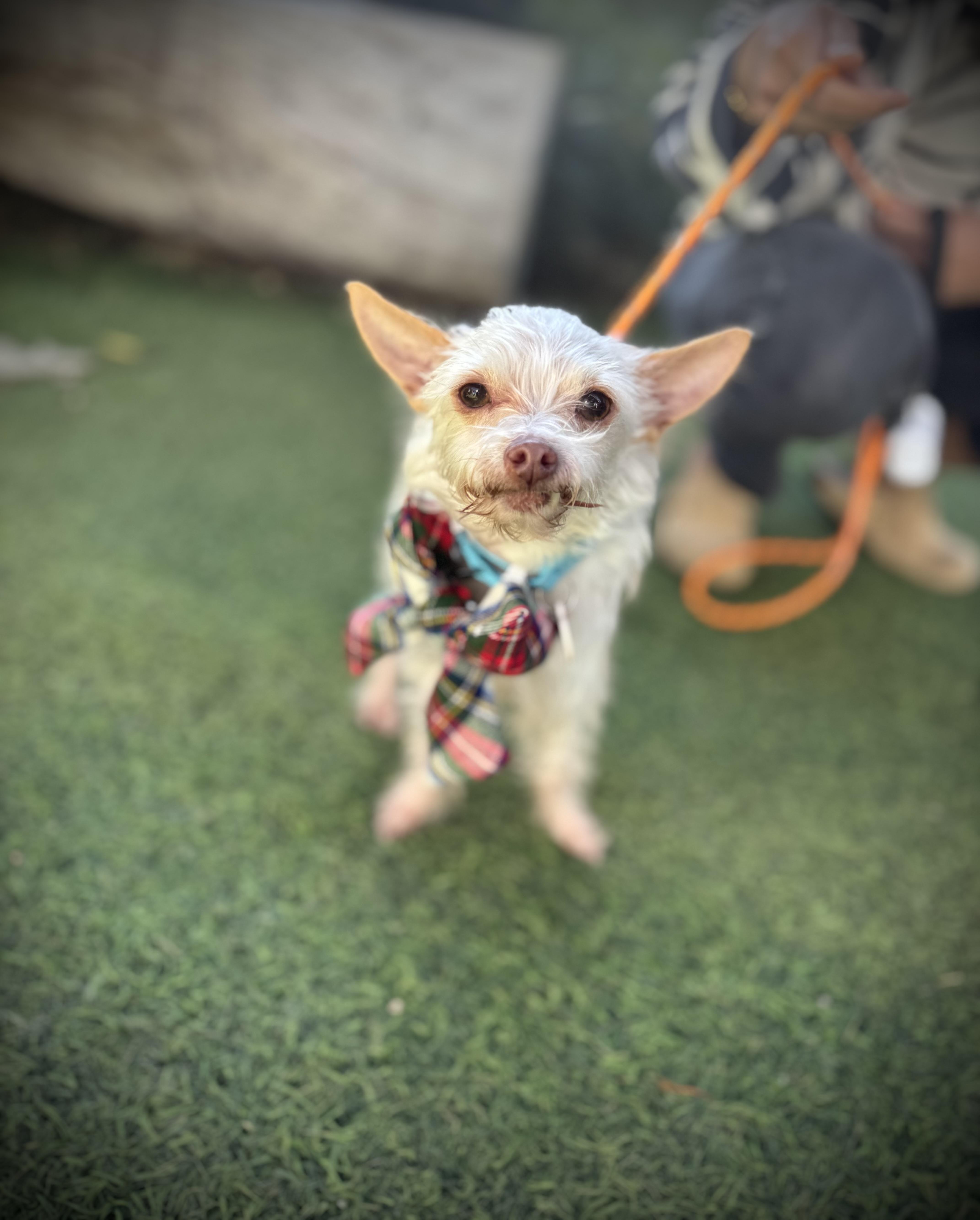 Mick Shrimpton Loves Everyone!