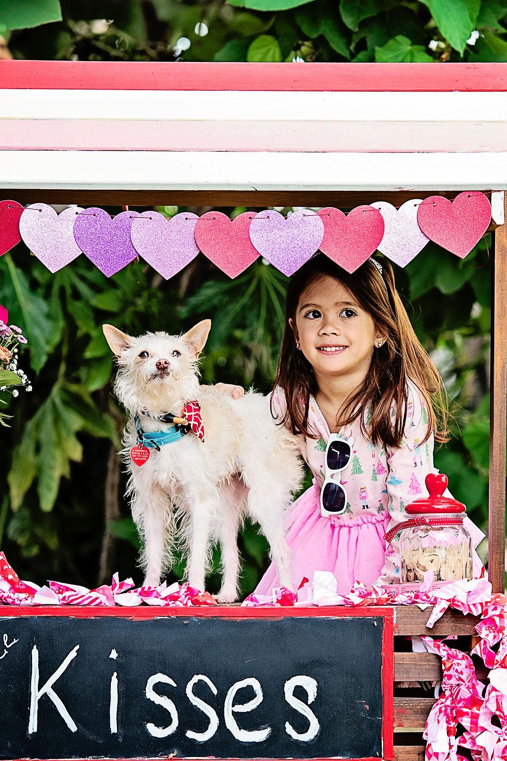 Mick Shrimpton loves everyone! , a ADOPTABLE mixed breed in Los Angeles, CA image 2/5