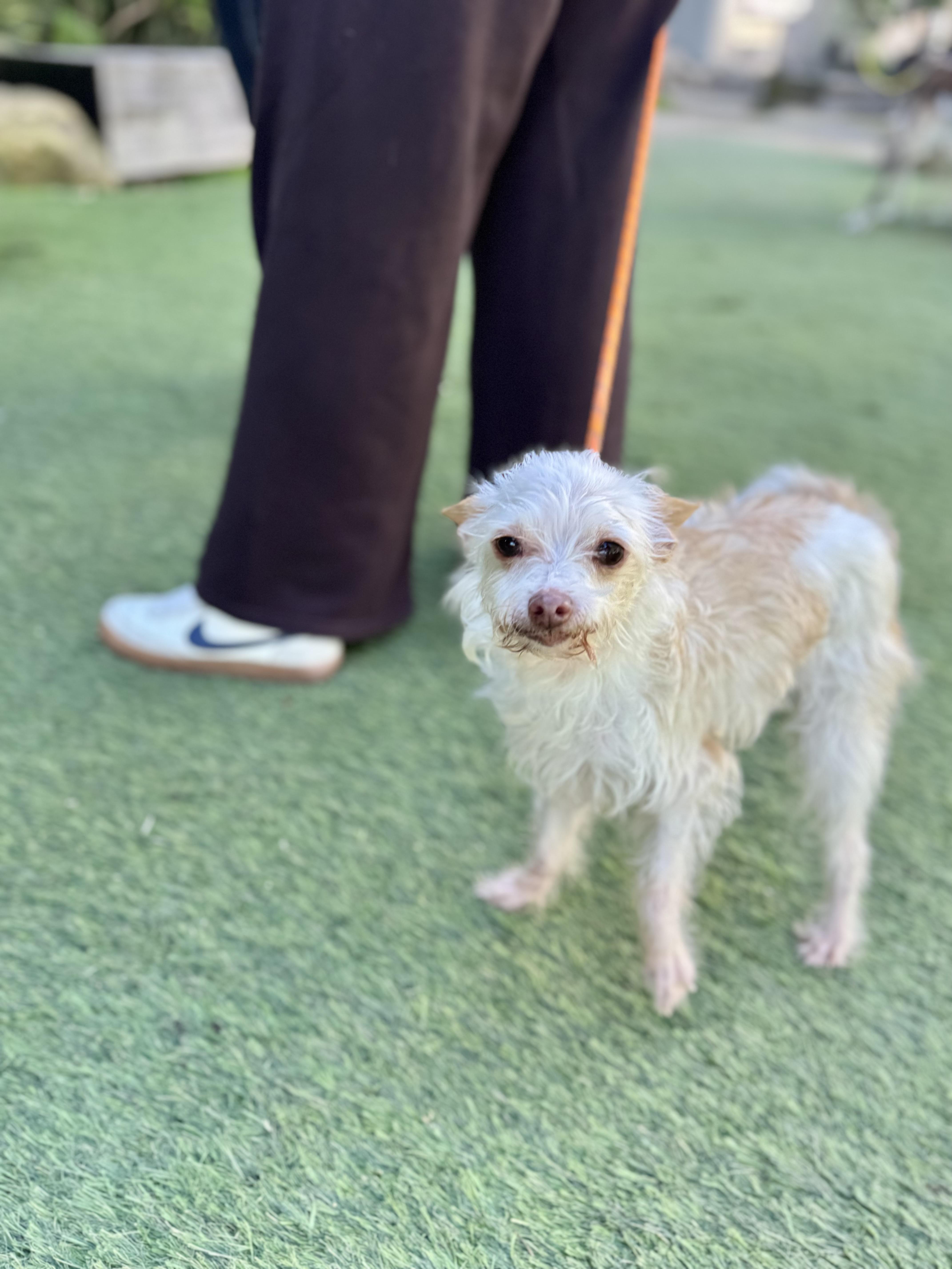 Mick Shrimpton Loves Everyone! thumbnail 5