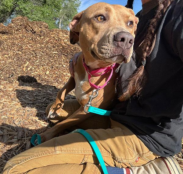 Princess **Courtesy Post. Out of town pet. See below for details**