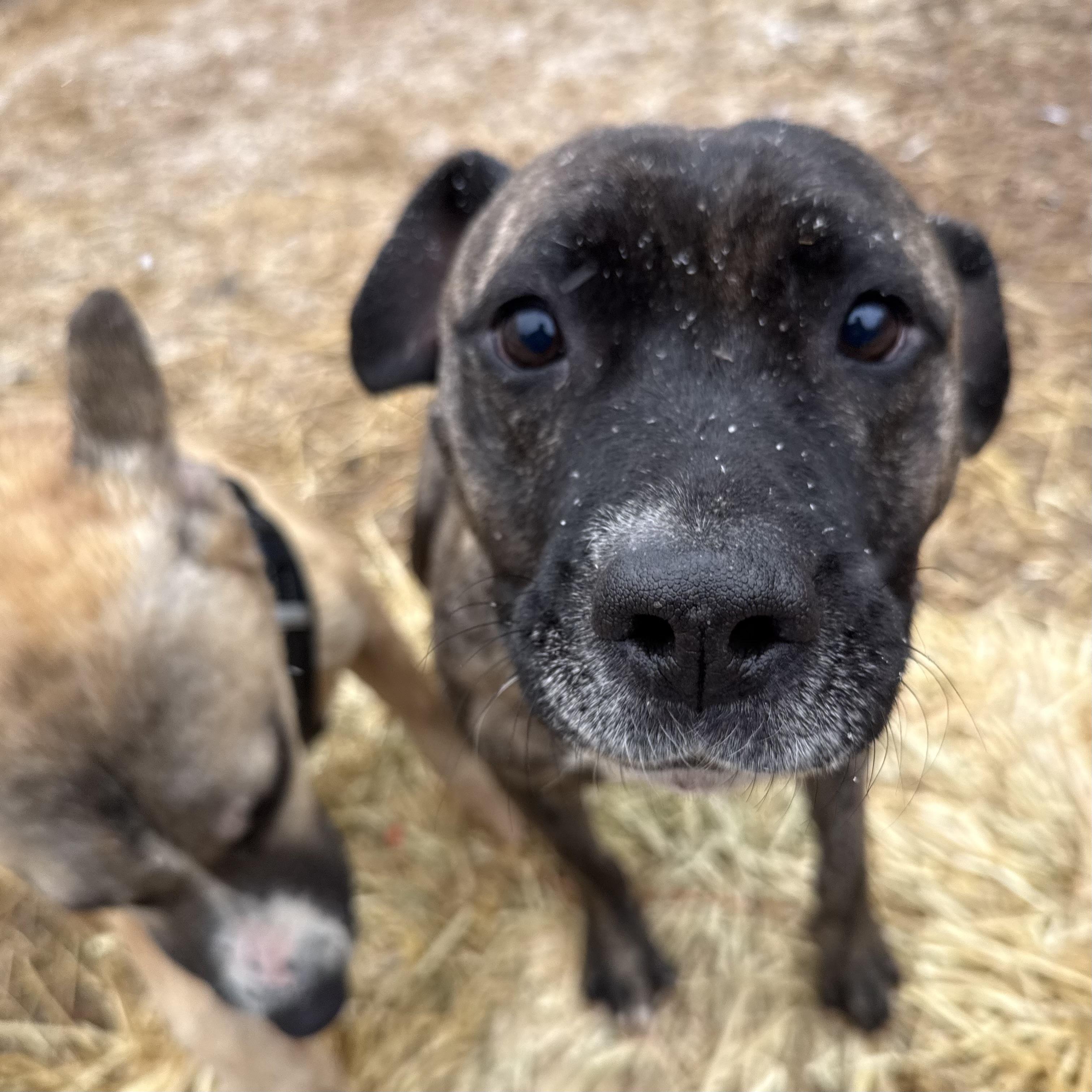 Lamar — thumbnail 2