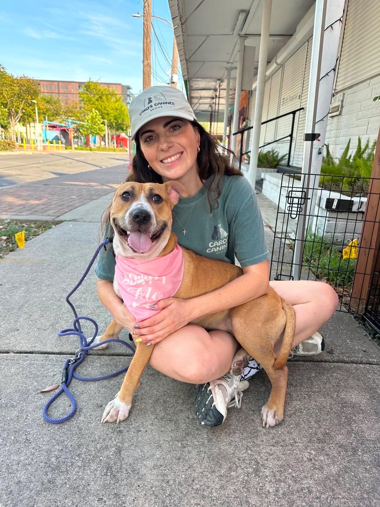 Enlarge Lily, a Adopted mixed breed in Rye, NY image 3/6