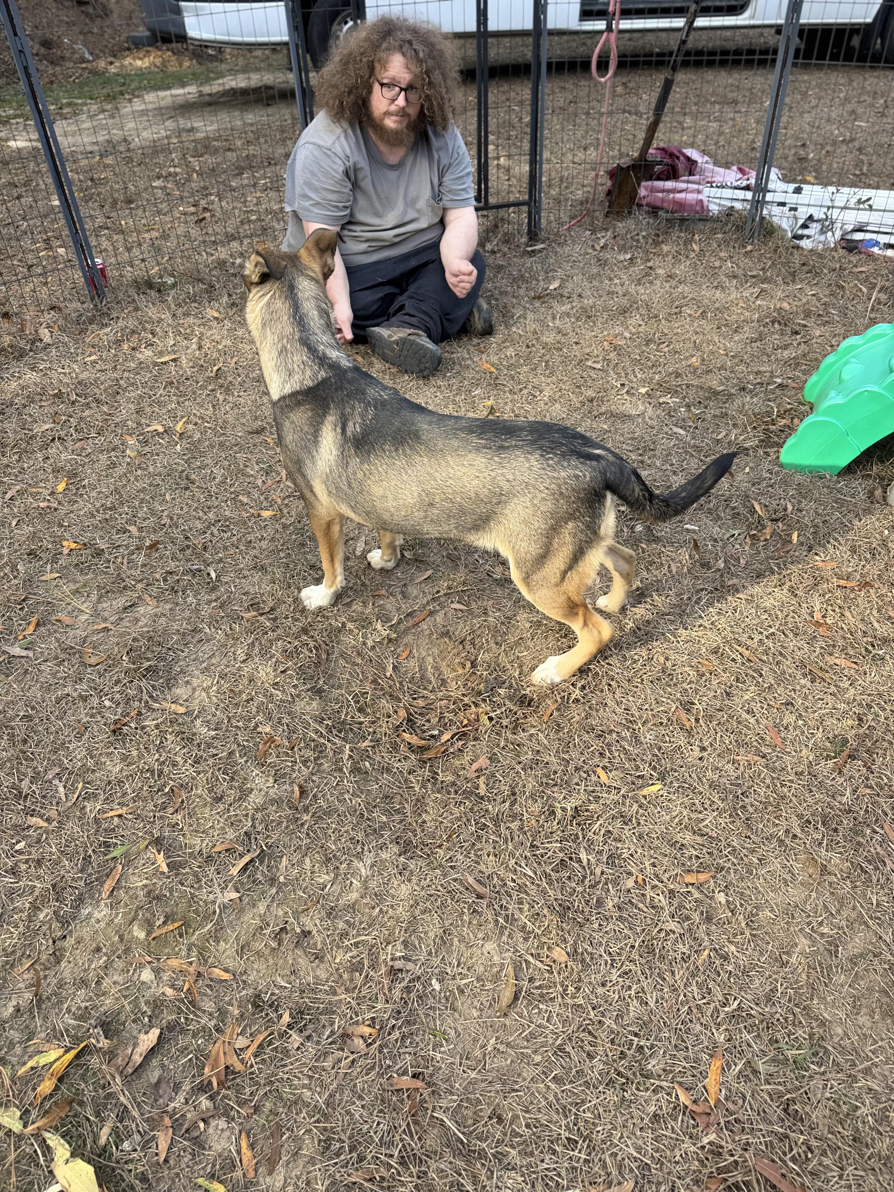 ARSON MUFFIN — thumbnail 6