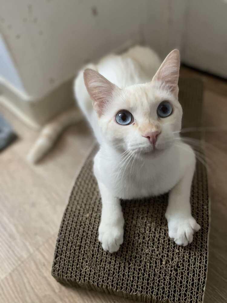 Love Note thumbnail 2