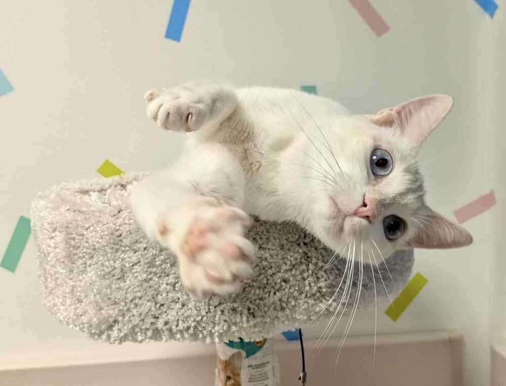 Love Note thumbnail 5