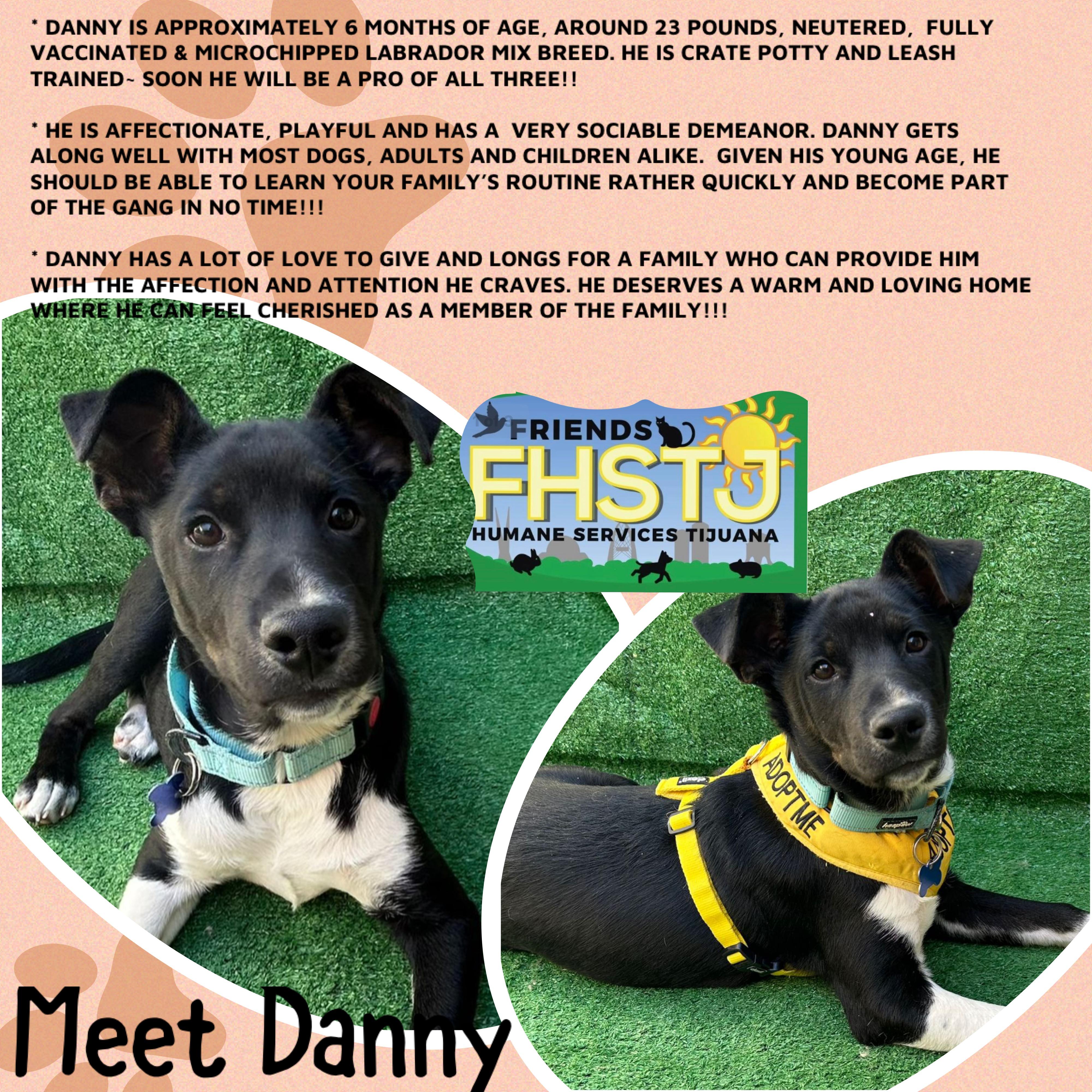 Danny