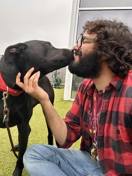 Enlarge Nemo, a Adoptable mixed breed in Wichita, KS image 3/3