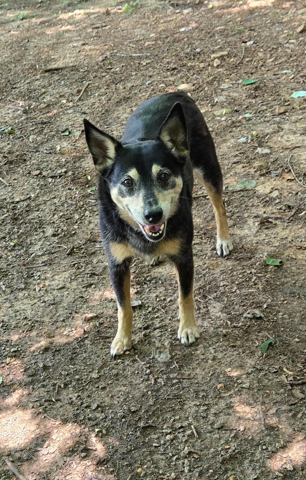 Millie photo 1