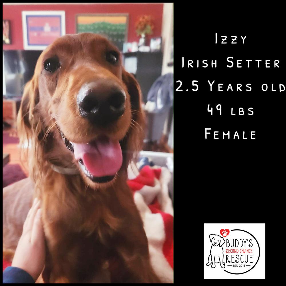 Izzy thumbnail 2