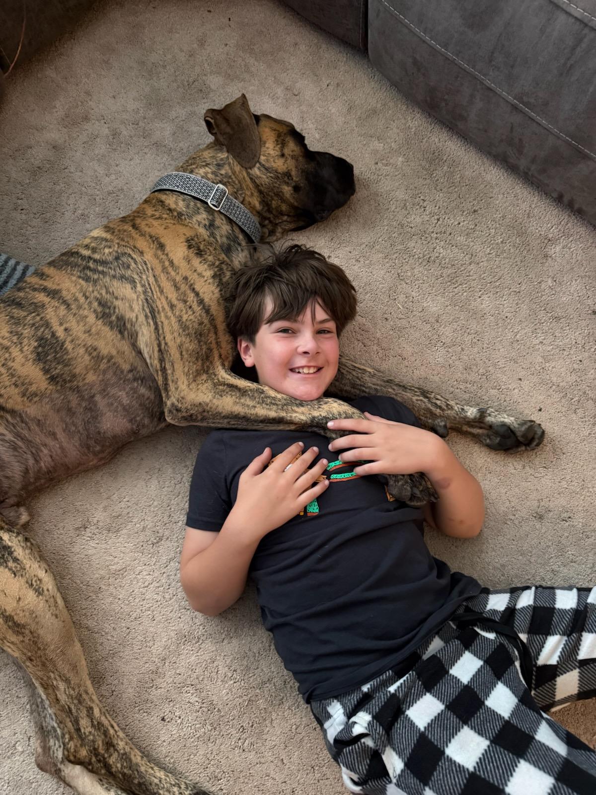 Enlarge Henry, a Adoptable mixed breed in Kirkland, WA image 2/6