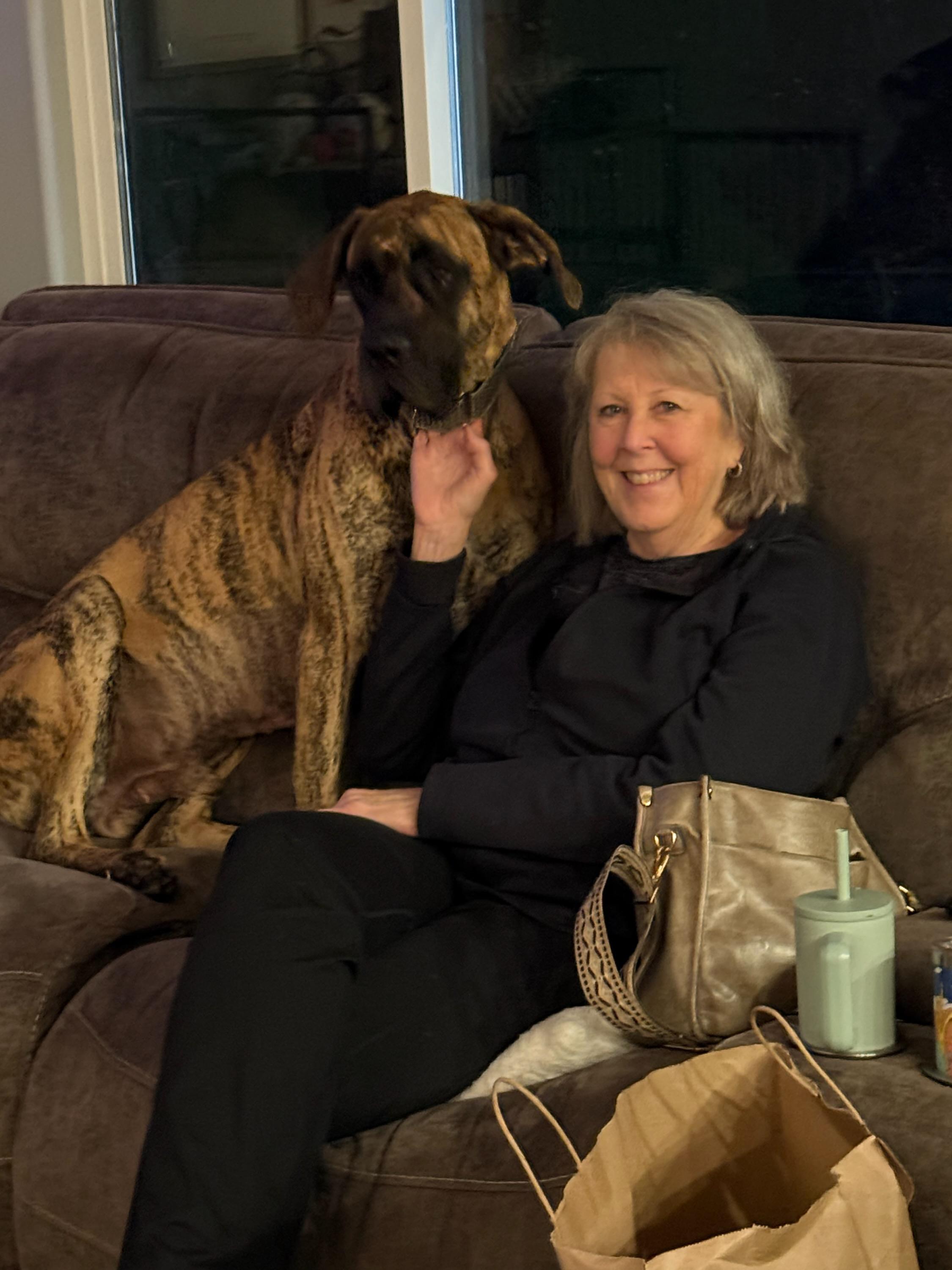 Enlarge Henry, a Adoptable mixed breed in Kirkland, WA image 5/6