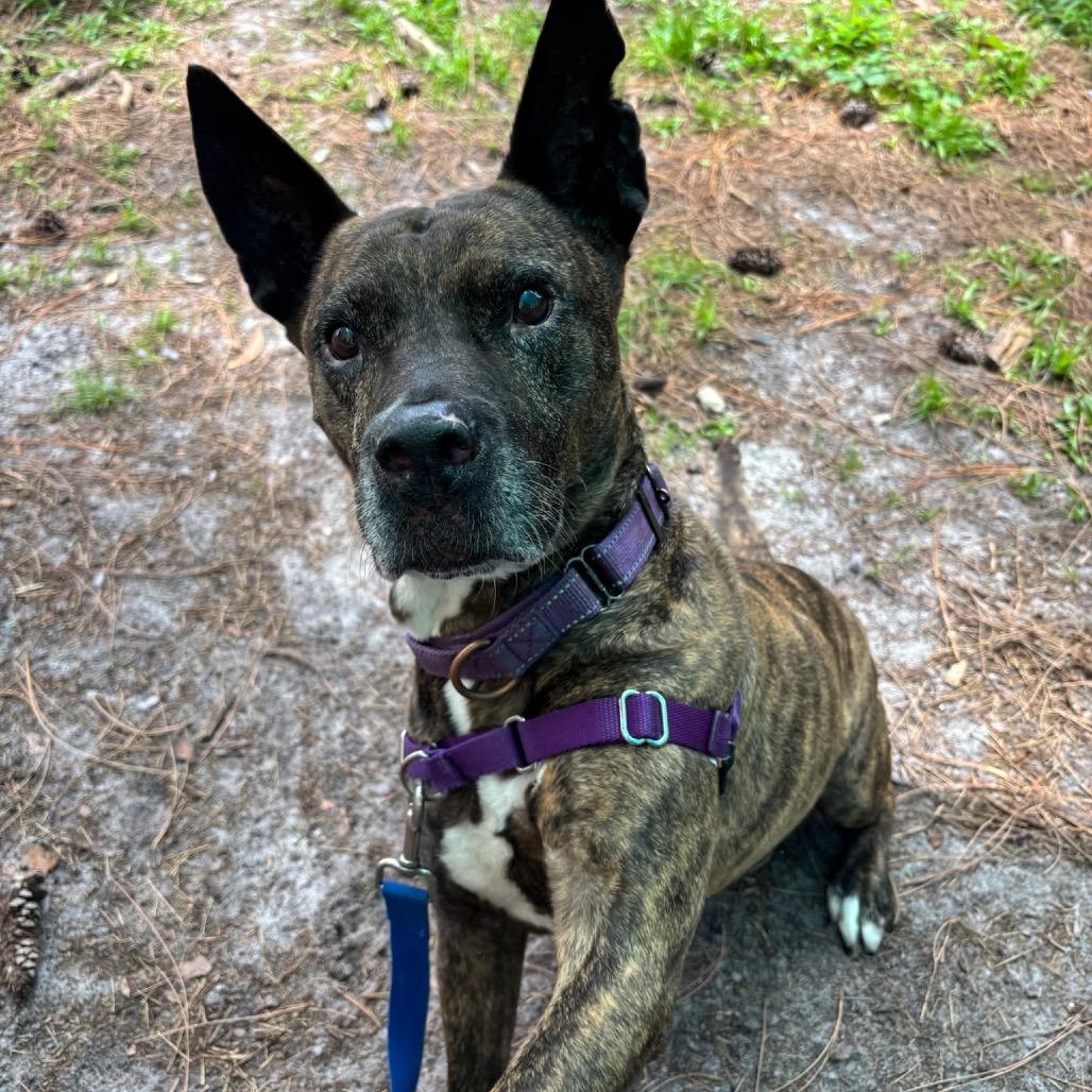 Rando — thumbnail 5