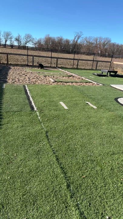 Enlarge Arthur, a ADOPTABLE mixed breed in Seward, NE video 1/4