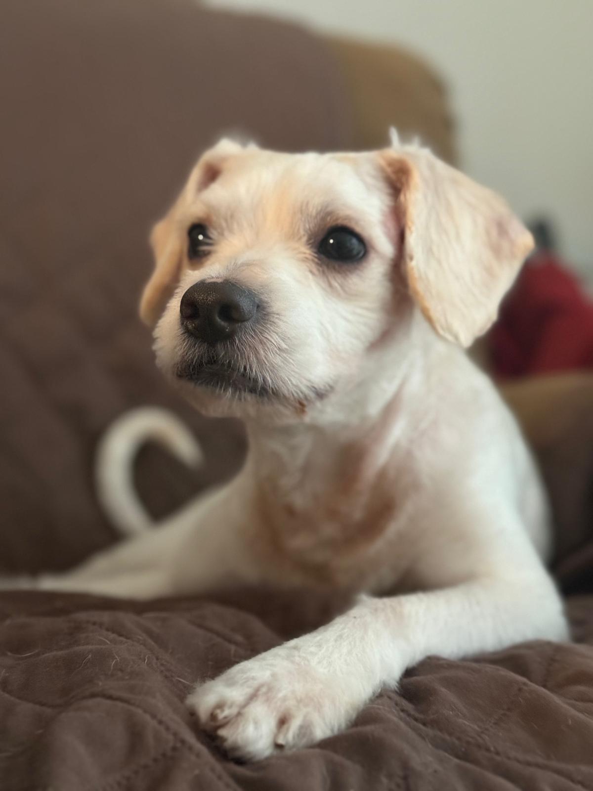 Charlie photo 4