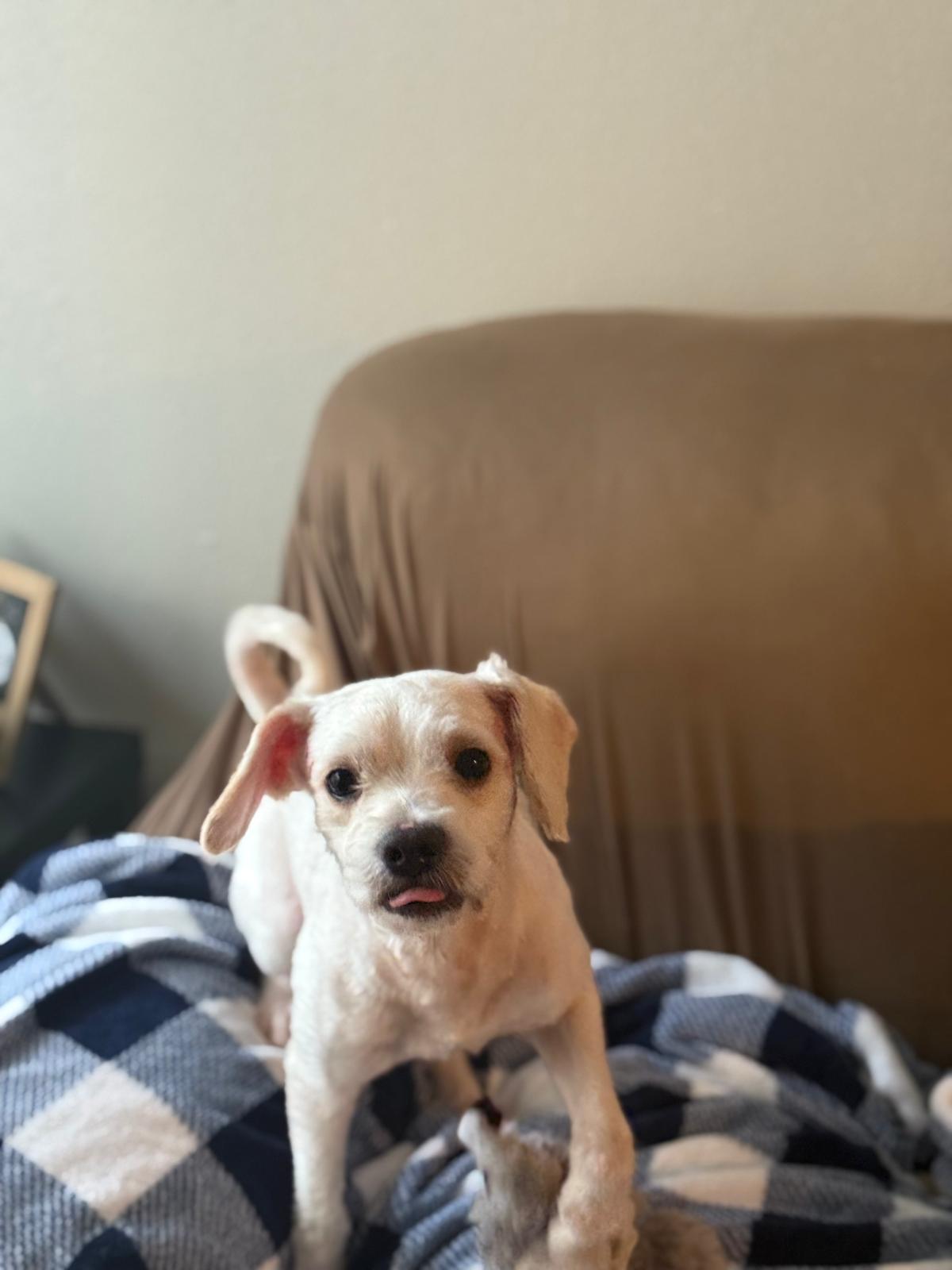 Charlie photo 6
