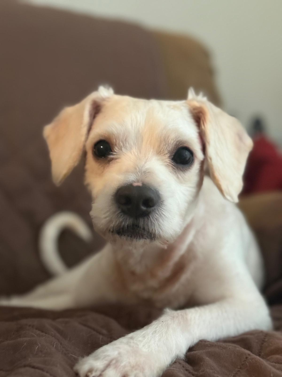 Charlie photo 2