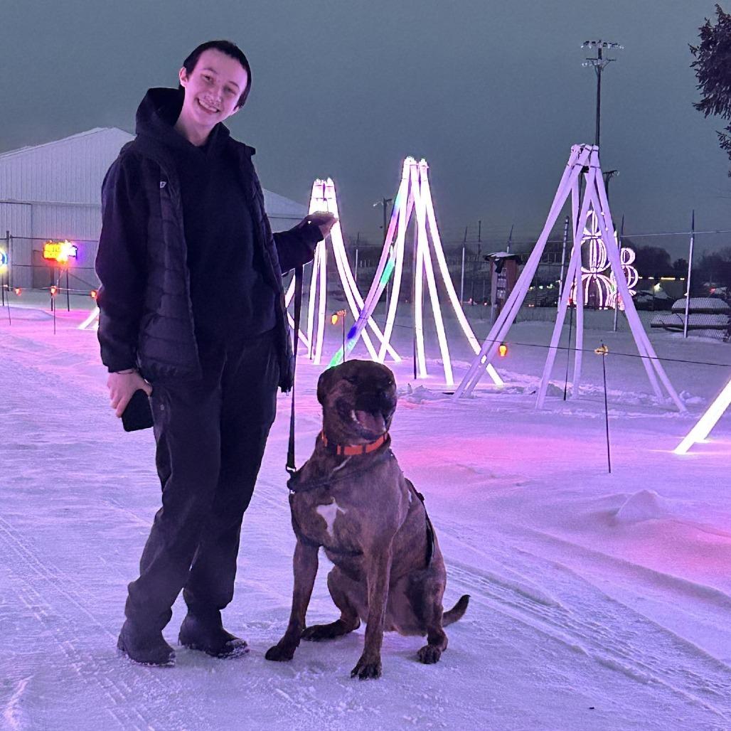 Enlarge Spike, a Adoptable Mixed Breed in Grand Rapids, MI image 2/6