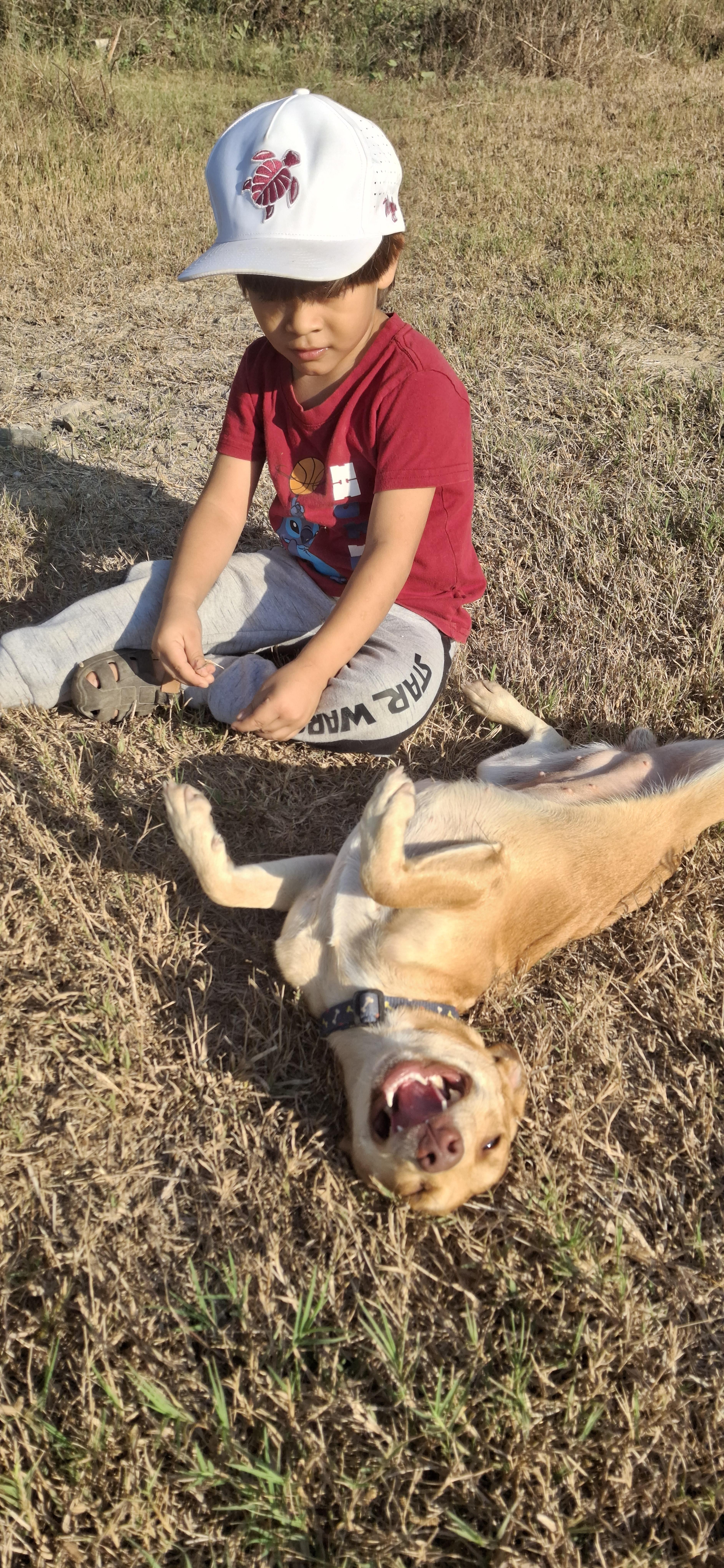 Enlarge Tina, a ADOPTABLE mixed breed in Vancouver, BC image 3/6