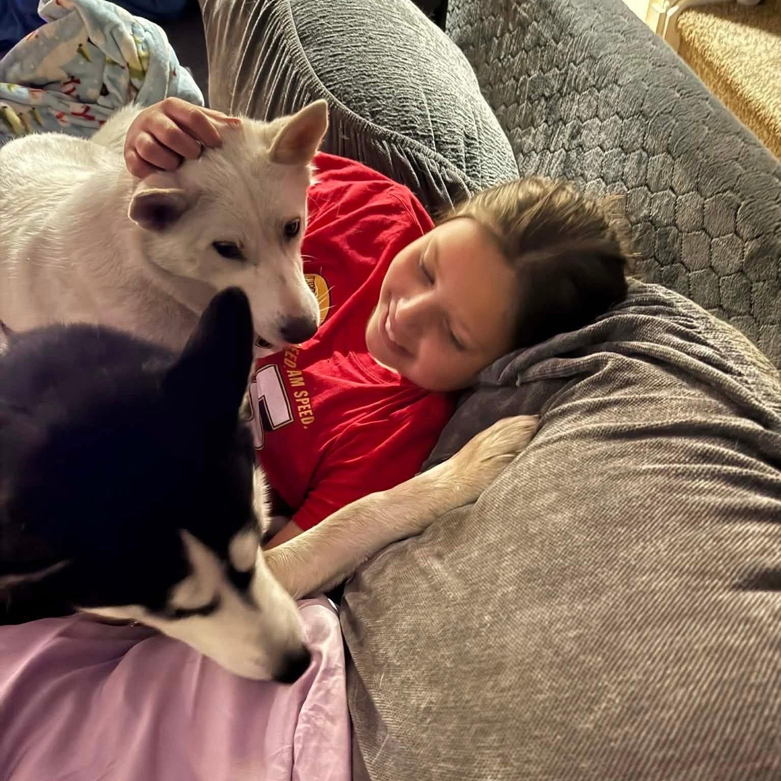 Awesome Athena!, an adopted mixed breed in Nanuet, NY image 4/6