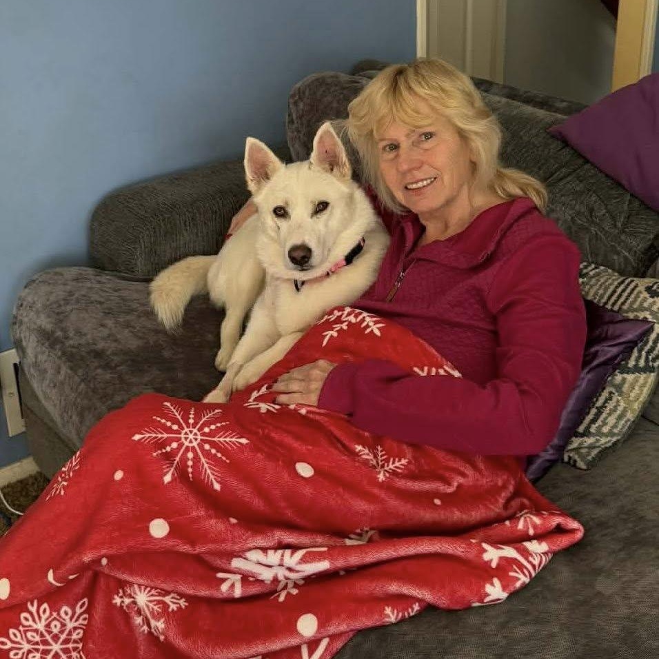 Awesome Athena!, an adopted mixed breed in Nanuet, NY image 2/6