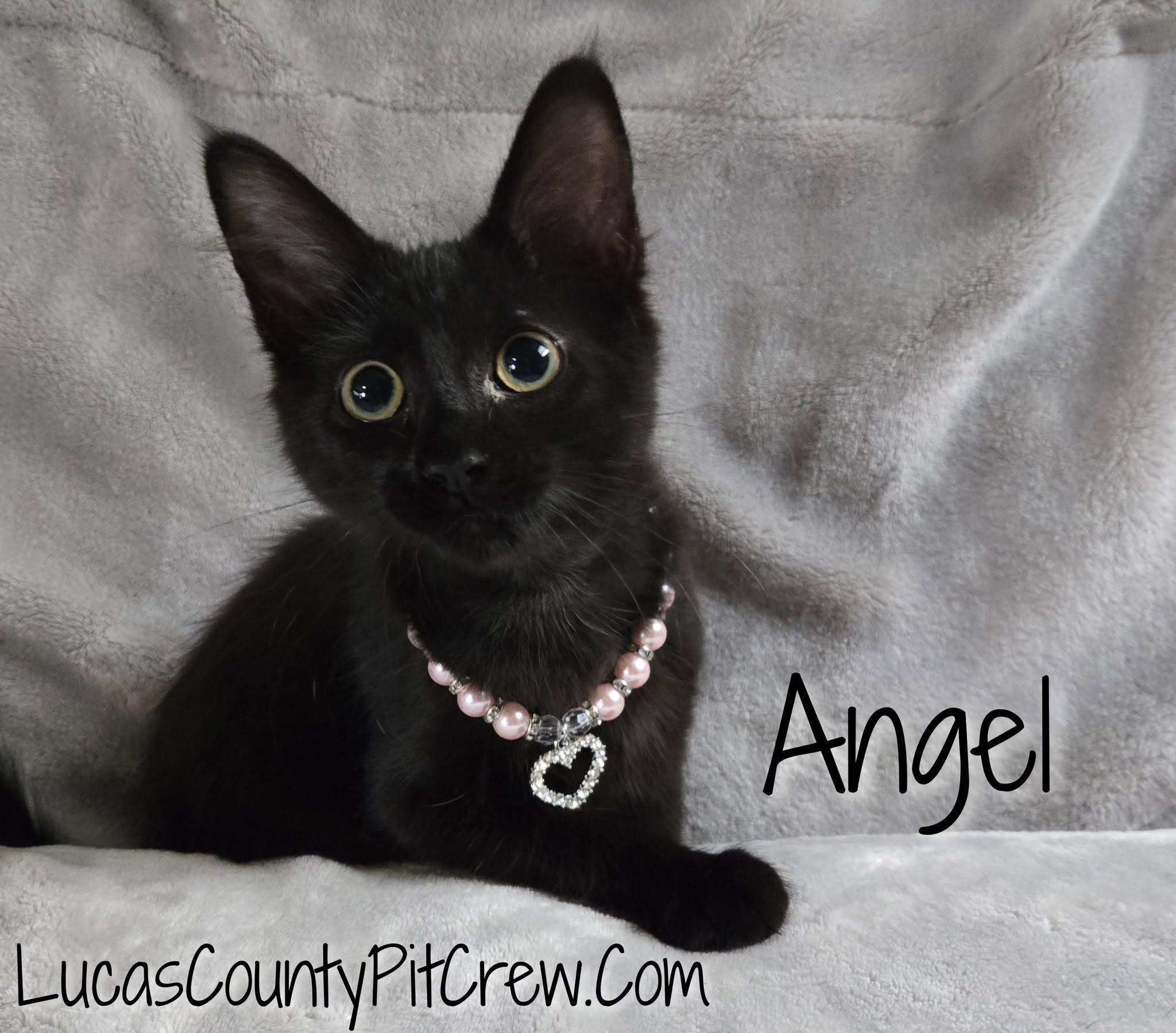 Angel