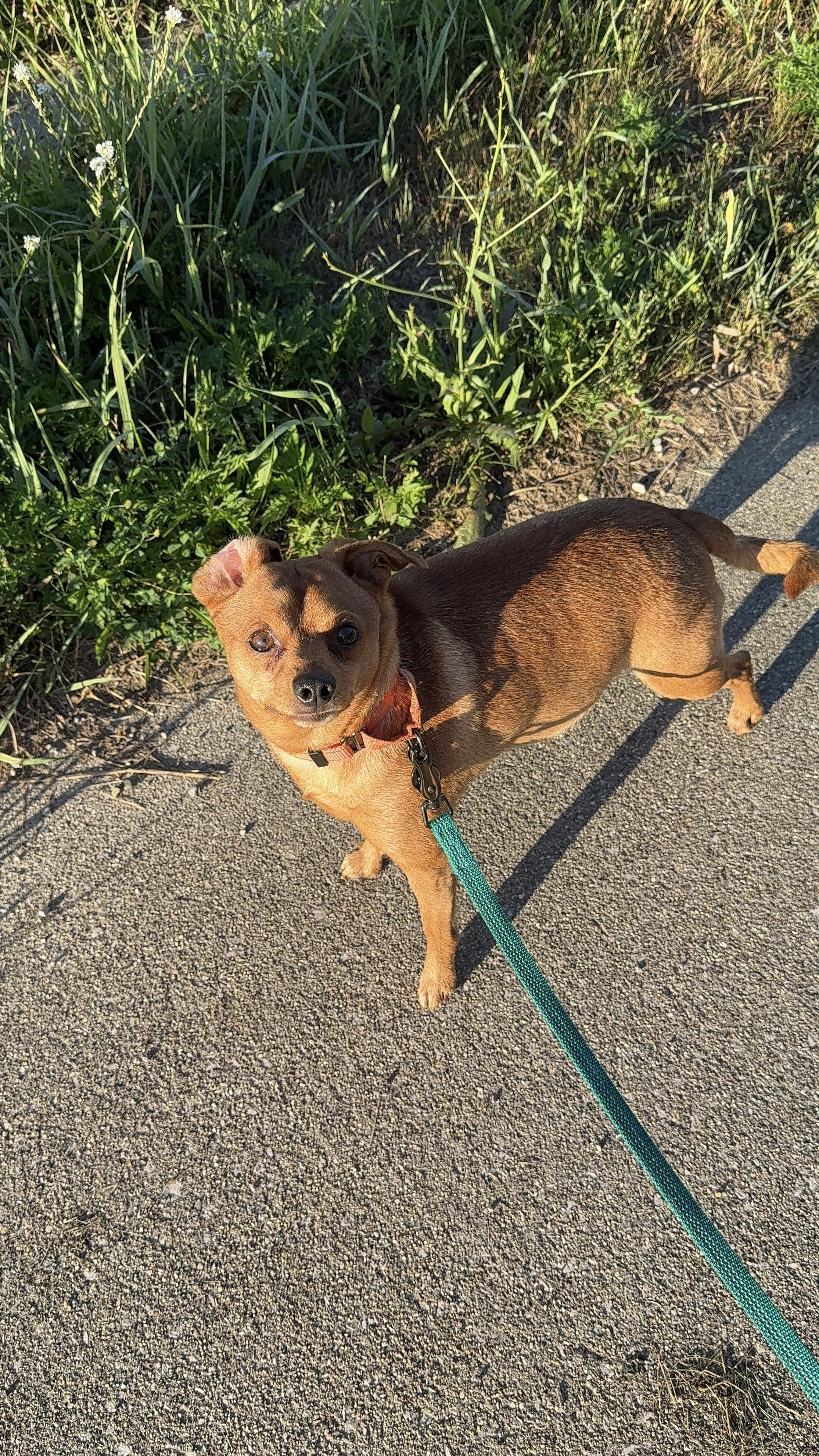 Marley