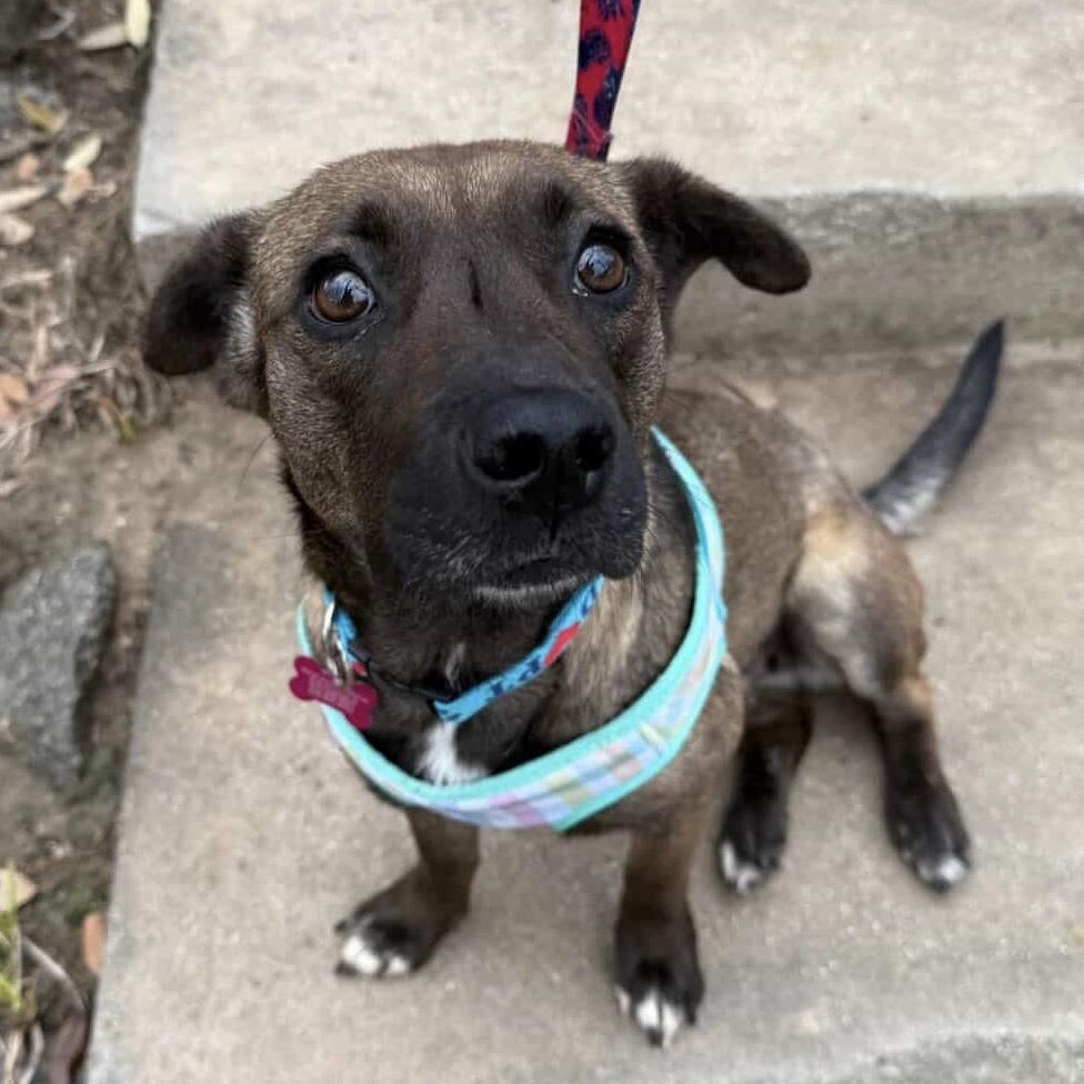 Ting — thumbnail 3