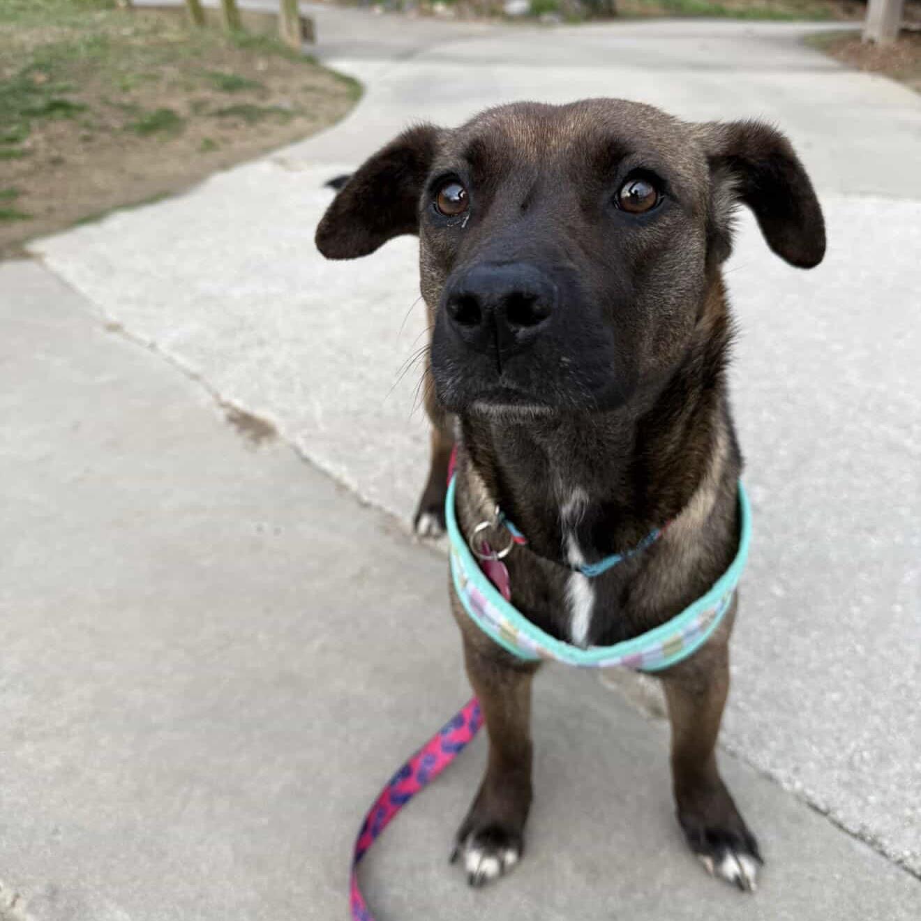 Ting — thumbnail 4