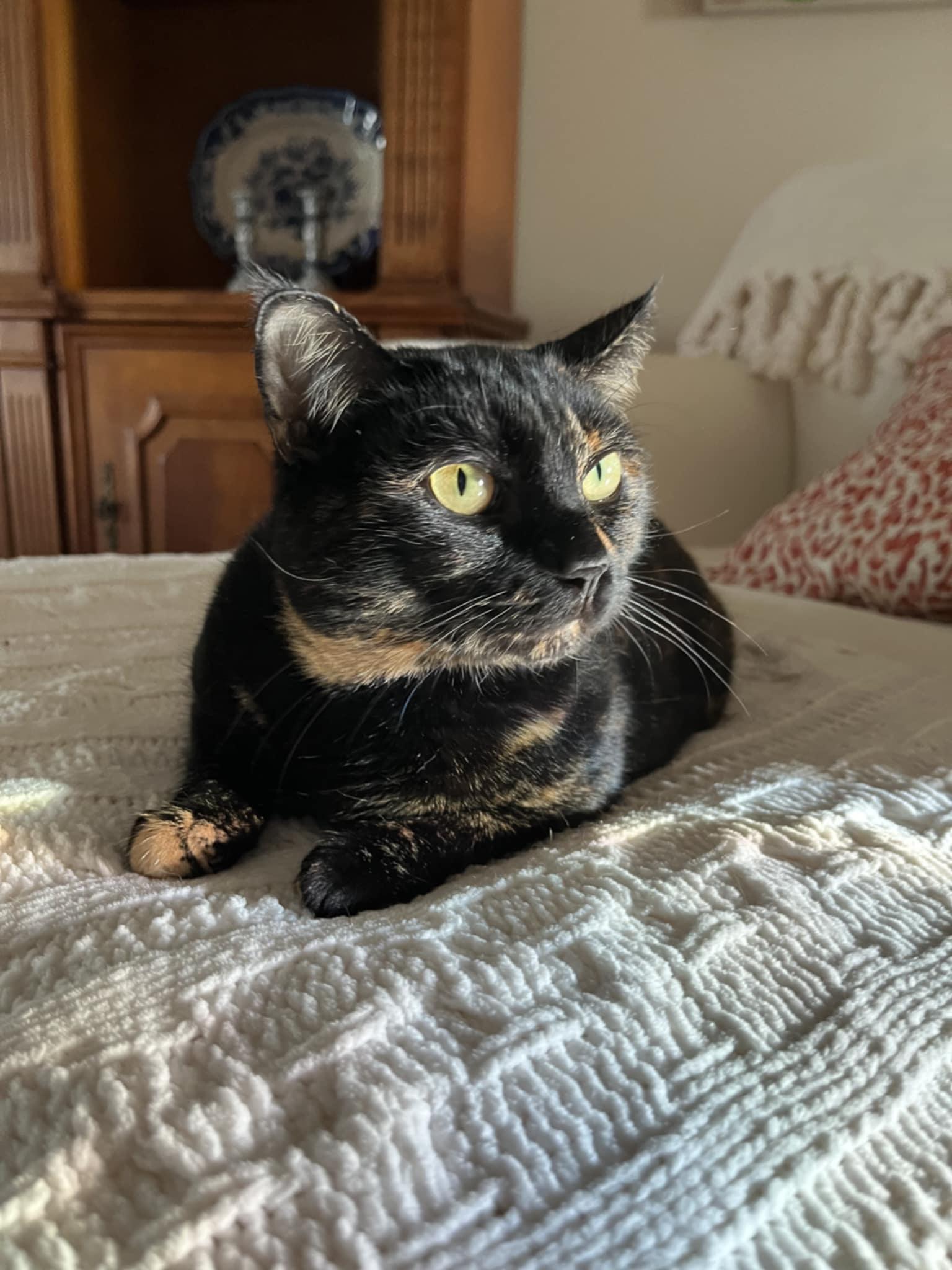 Nyla