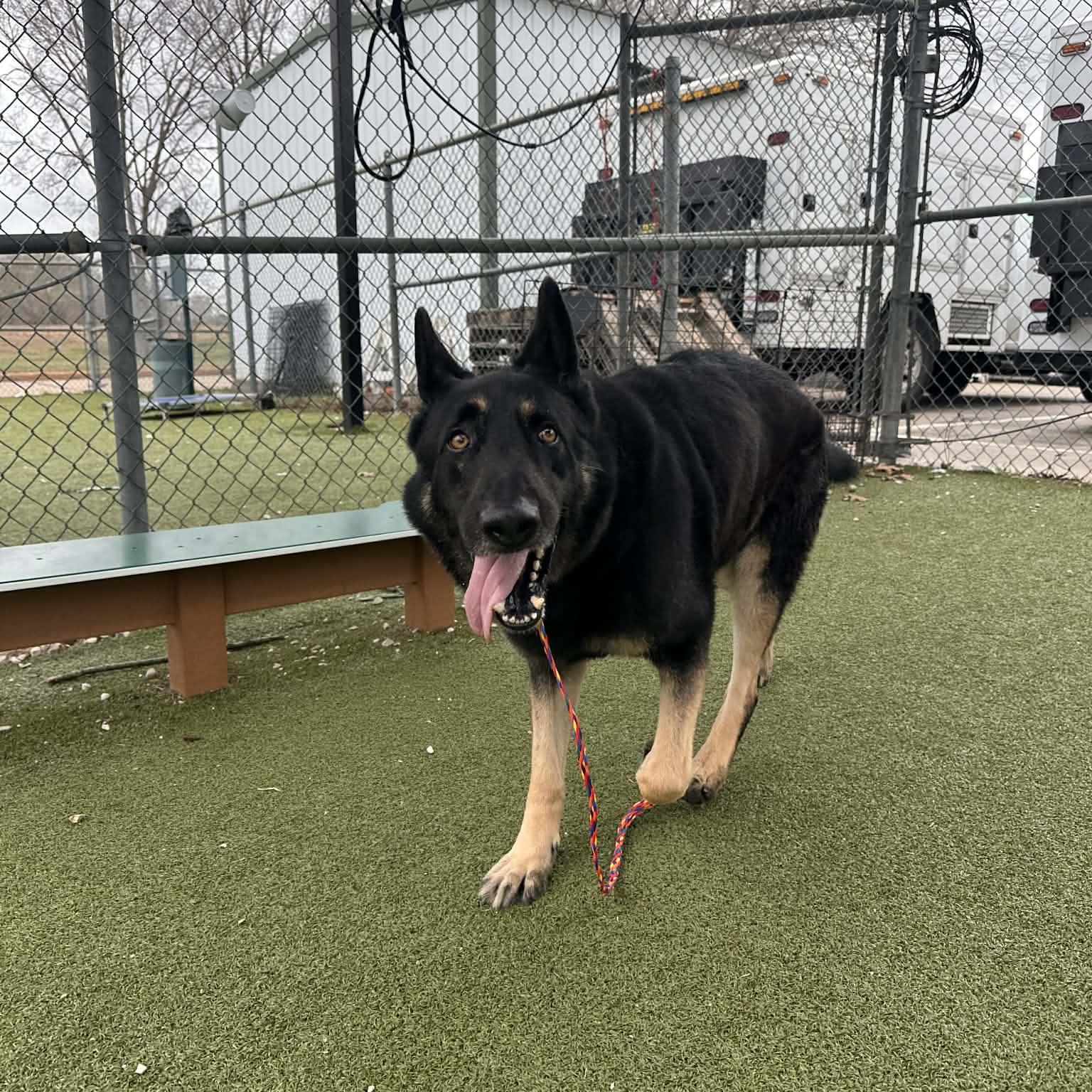 WALTER GS — thumbnail 2