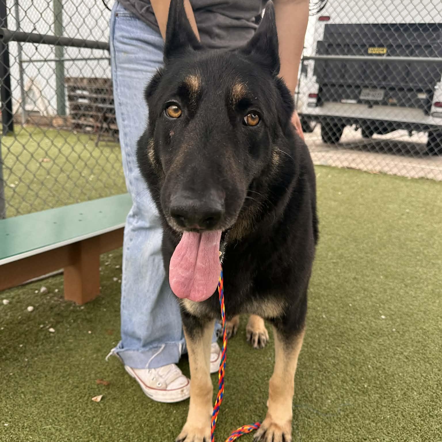 WALTER GS — thumbnail 4