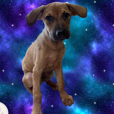 Gabe — thumbnail 3