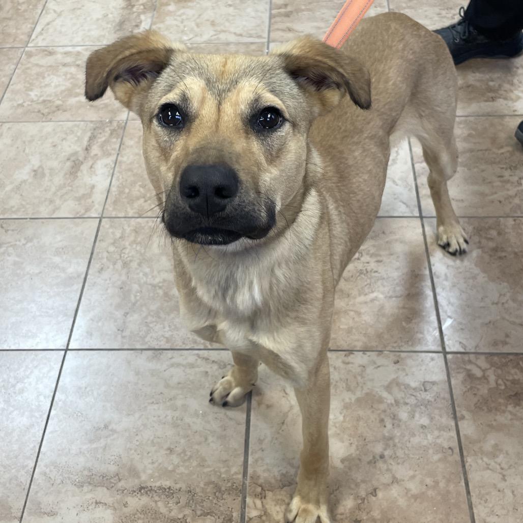 Gabe — thumbnail 5