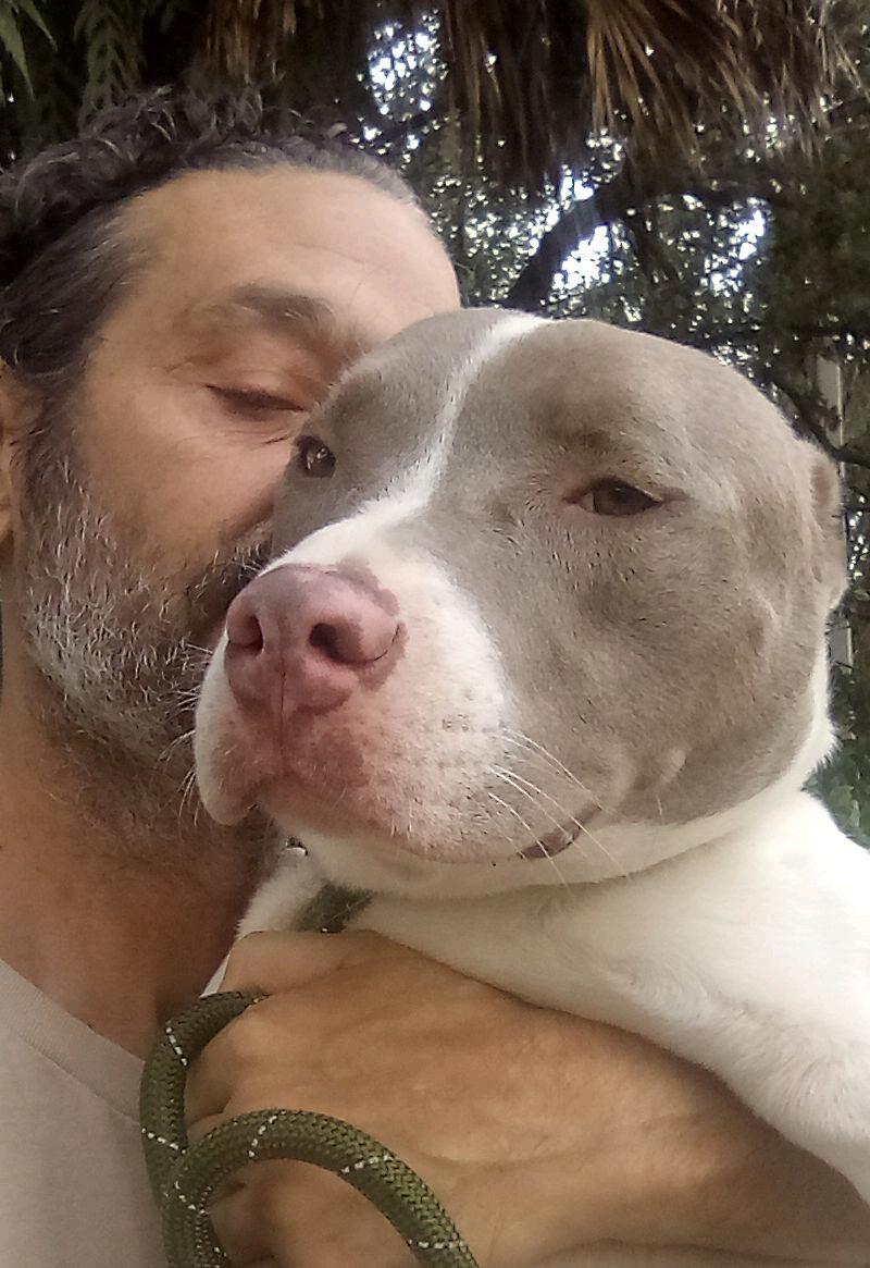 Enlarge Flash, a Adoptable mixed breed in Coconut Creek, FL image 2/4