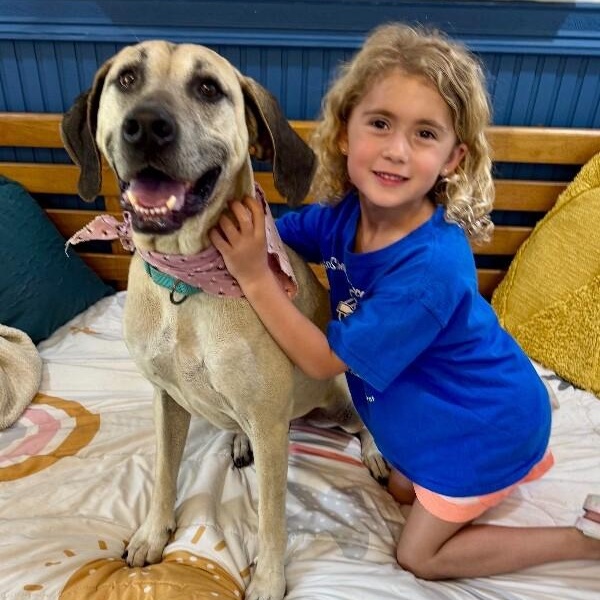 Enlarge Sally Front Porch Breeze, a Adoptable mixed breed in Austin, TX image 3/6