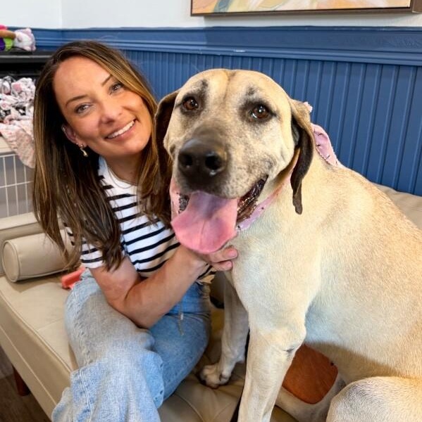 Enlarge Sally Front Porch Breeze, a Adoptable mixed breed in Austin, TX image 5/6