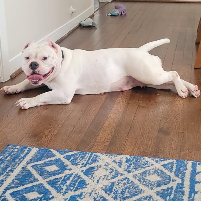 Evie — thumbnail 5