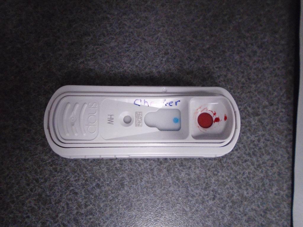 Enlarge Chester, a Adoptable mixed breed in Hopkinsville, KY image 3/6