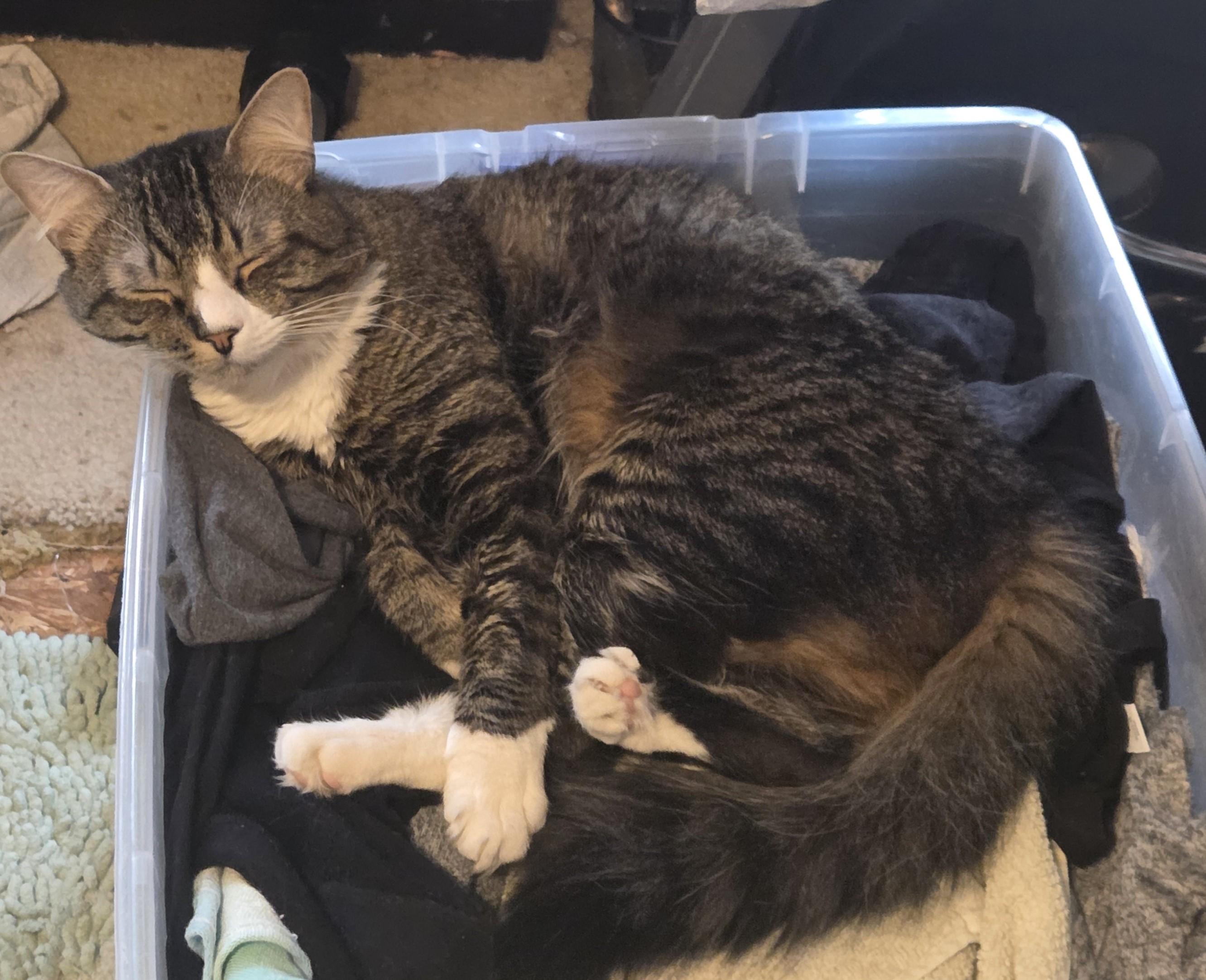 Winston -- Courtesy Post