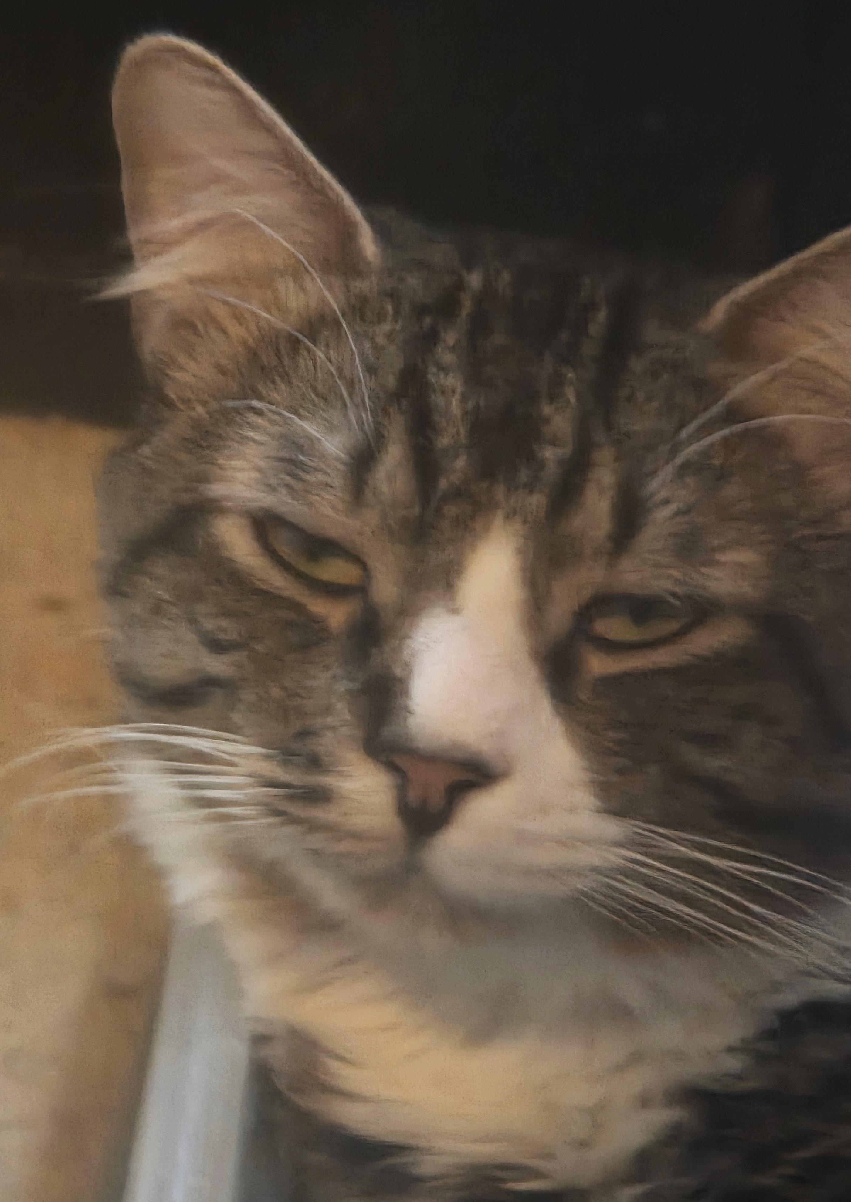 Winston -- Courtesy Post