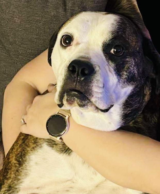 Amos — thumbnail 2