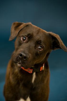 Keeono fka Roman — thumbnail 2