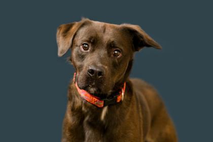 Keeono fka Roman — thumbnail 3